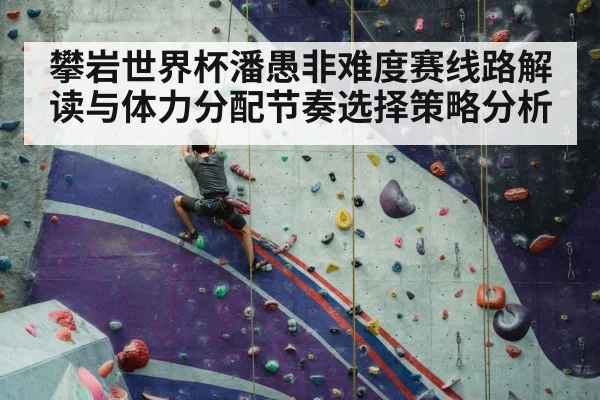 sport climbing competition wall