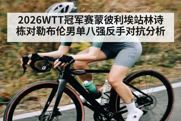 2026WTT冠军赛蒙彼利埃站林诗栋对勒布伦男单八强反手对抗分析